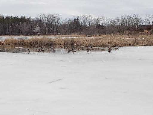 Nature Preserve «McDonald Woods Forest Preserve», reviews and photos, 19611 W Grass Lake Rd, Lake Villa, IL 60046, USA