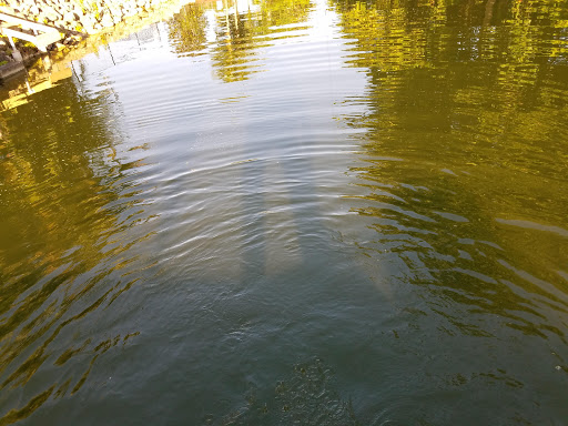 Park «A.D. (Doug) Barnes Park», reviews and photos, 3401 SW 72nd Ave, Miami, FL 33155, USA