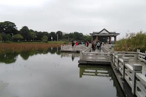 松山湖公园 image