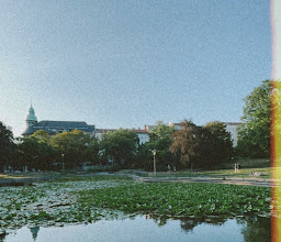 Volkspark am Weinberg photo