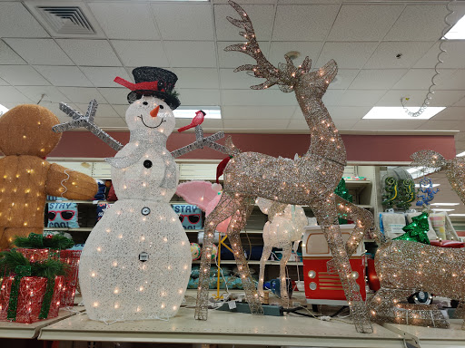 Home Goods Store «Christmas Tree Shops», reviews and photos, 5450 Brandywine Pkwy, Wilmington, DE 19803, USA