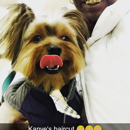 Pet Supply Store «PetSmart», reviews and photos, 916 Loganville Hwy, Bethlehem, GA 30620, USA