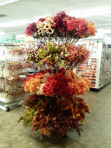 Dollar Store «Dollar Tree», reviews and photos, 2241 Citrus Blvd #107, Leesburg, FL 34748, USA