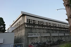 Kyoto University Sports Gymnasium image