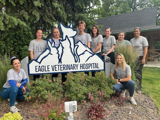 Eagle Veterinary Hospital image