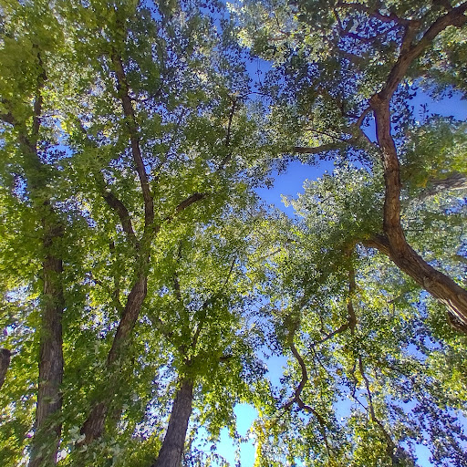 Nature Preserve «Majestic View Nature Center», reviews and photos, 7030 Garrison St, Arvada, CO 80004, USA