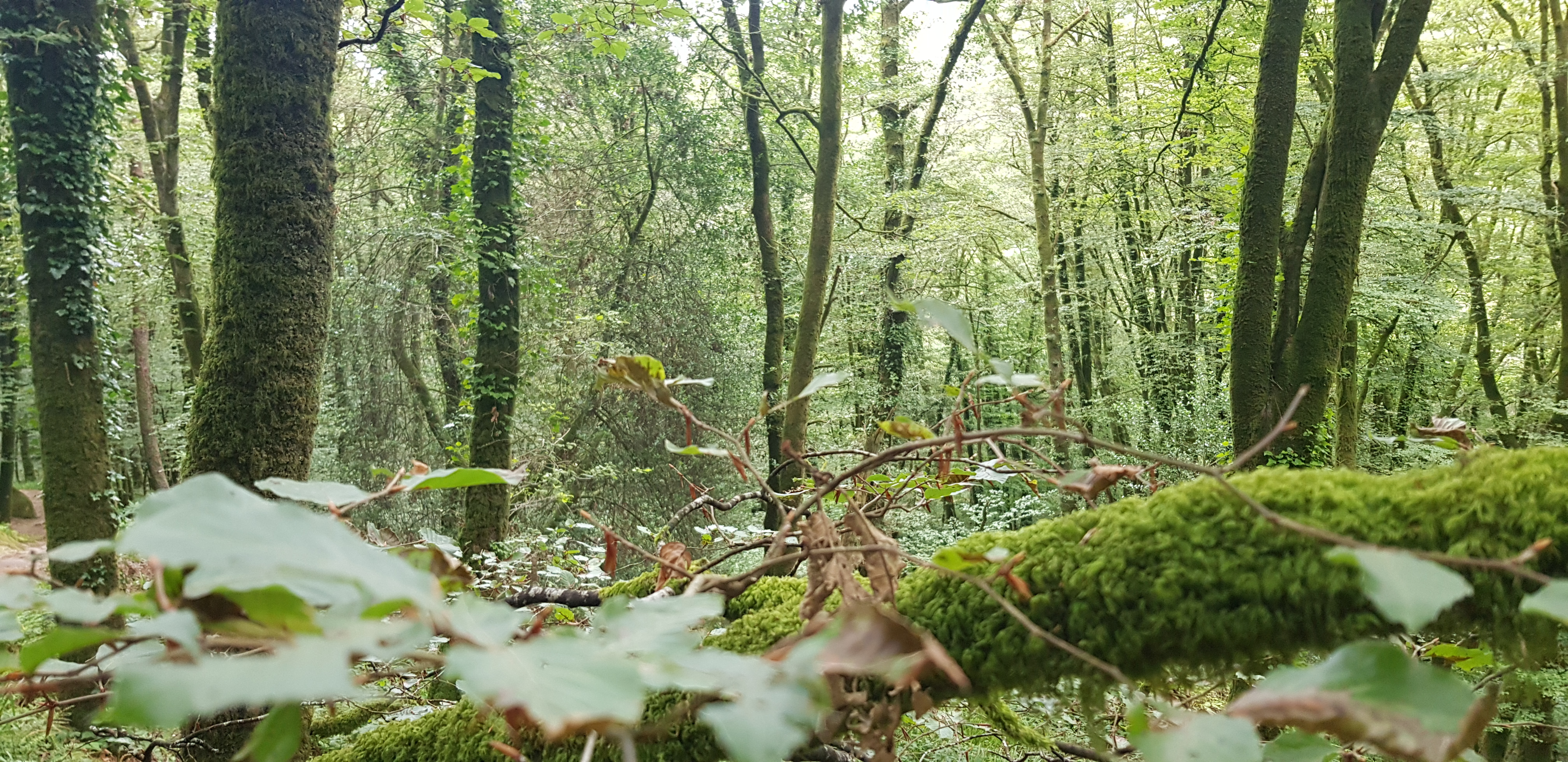 Photo n° 12 de l'avis de Aurore.a fait le 14/07/2020 à 20:49