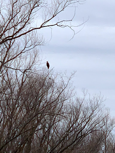 Nature Preserve «Marais Temps Clair Conservation Area», reviews and photos, 5134 Island Road, St Charles, MO 63301, USA