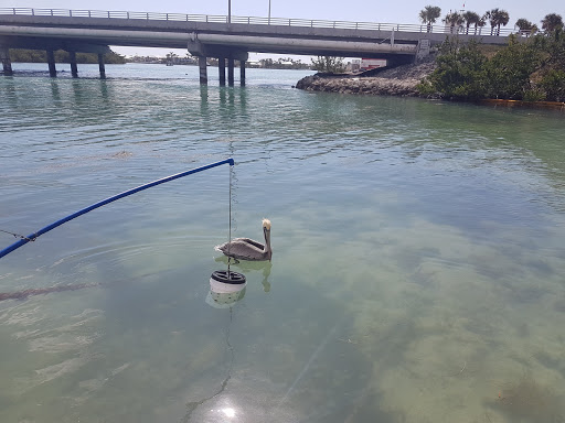 Aquarium «Florida Keys Aquarium Encounters», reviews and photos, 11710 Overseas Hwy, Marathon, FL 33050, USA