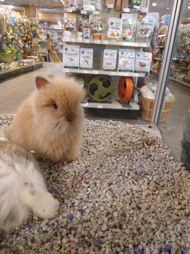 Pet Store «Miles of Exotics», reviews and photos, 8350 N Broadway, Kansas City, MO 64118, USA