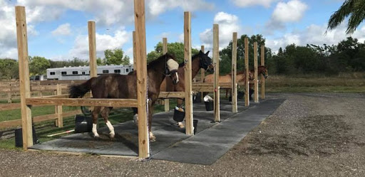 Horse Trainer «Apollo Farms Ltd.», reviews and photos, 3070 Summer Mountain Rd, Palmerton, PA 18071, USA