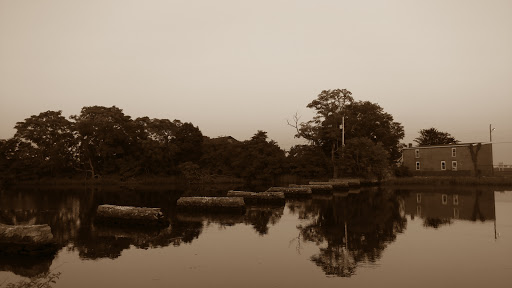 Nature Preserve «Cove Island Wildlife Sanctuary», reviews and photos, 1125 Cove Rd, Stamford, CT 06902, USA