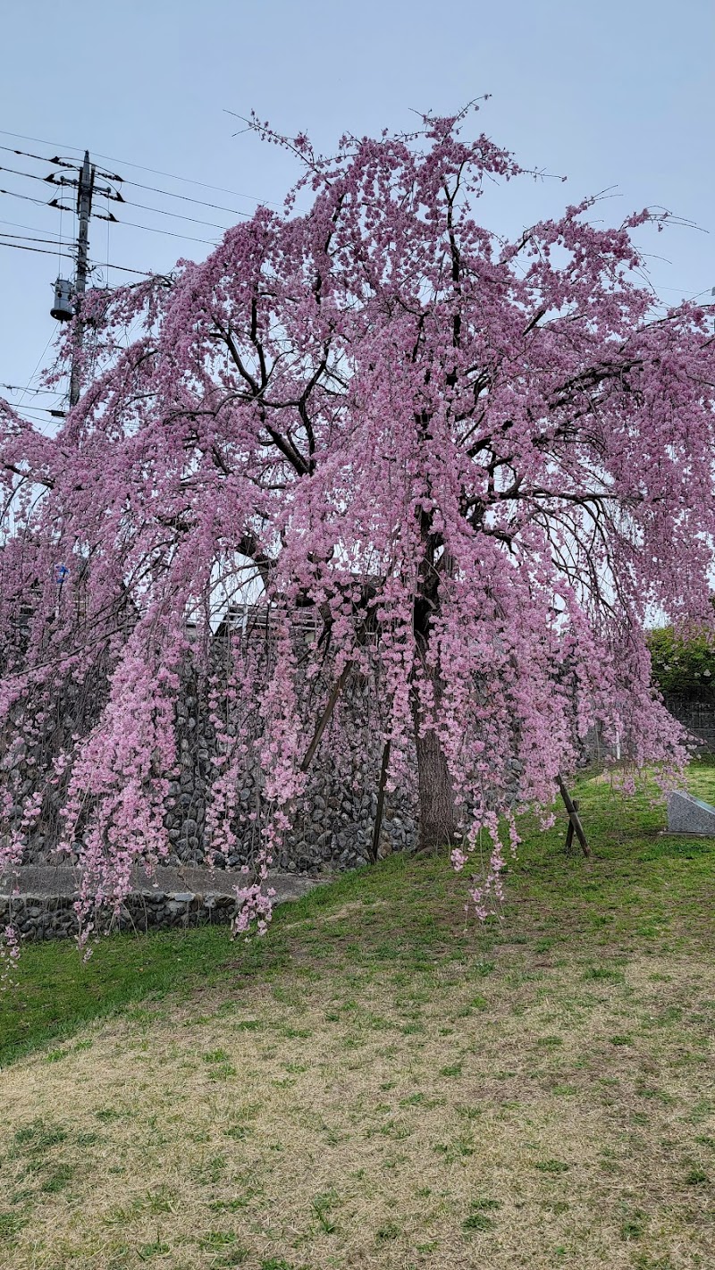 羽村市 水上公園