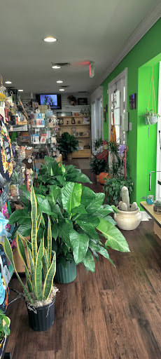 Florist «Garden of Eden Flower Shop, Pennsville», reviews and photos, 199 N Broadway, Pennsville, NJ 08070, USA