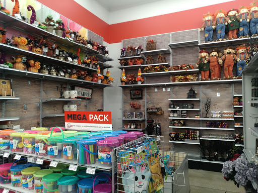 Craft Store «Michaels», reviews and photos, 1811 NE Pine Island Rd Ste 100, Cape Coral, FL 33909, USA