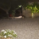 Photo n°4 de l'avis de stefania.o fait le 03/09/2019 à 21:02 sur le  Osteria Borgoluce à Susegana