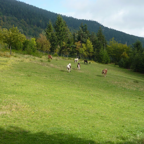 Domaine équestre de Fontcouverte à Lalouvesc