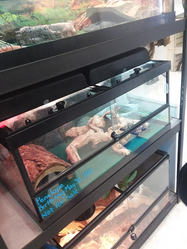 Pet Supply Store «PetKraze», reviews and photos, 100 Independent Way, Brewster, NY 10509, USA