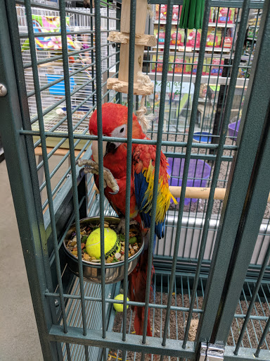 Pet Store «Carters Pet Mart», reviews and photos, 510 N Main St, Manteca, CA 95336, USA