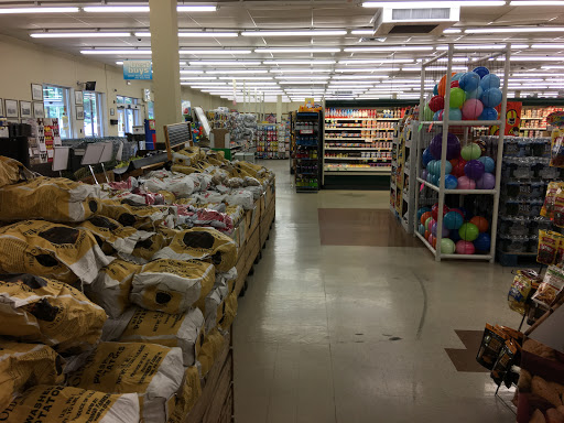 Grocery Store «Bergers Market», reviews and photos, 30 Lovers Ln, Pine Grove, PA 17963, USA