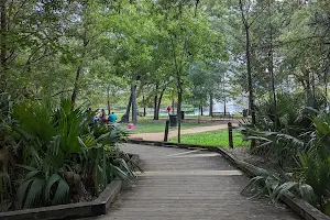 McGovern Island at Hermann Park image