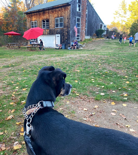 Vineyard «Mulberry Vineyards», reviews and photos, 95 Pound Rd, Chepachet, RI 02814, USA