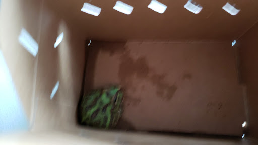 Pet Supply Store «Petco Animal Supplies», reviews and photos, 4665 Garth Rd #400, Baytown, TX 77521, USA