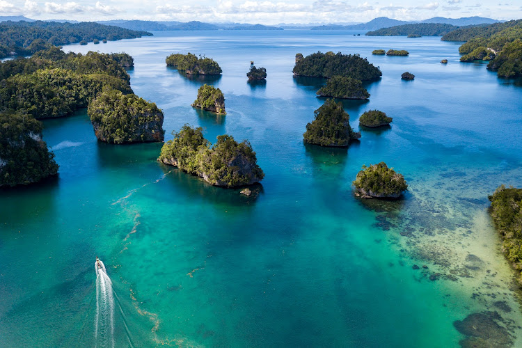 Biro Wisata Bawah Laut di Kabupaten Raja Ampat: Menjelajahi Keajaiban Raja Ampat dengan Banyaknya Tempat Wisata