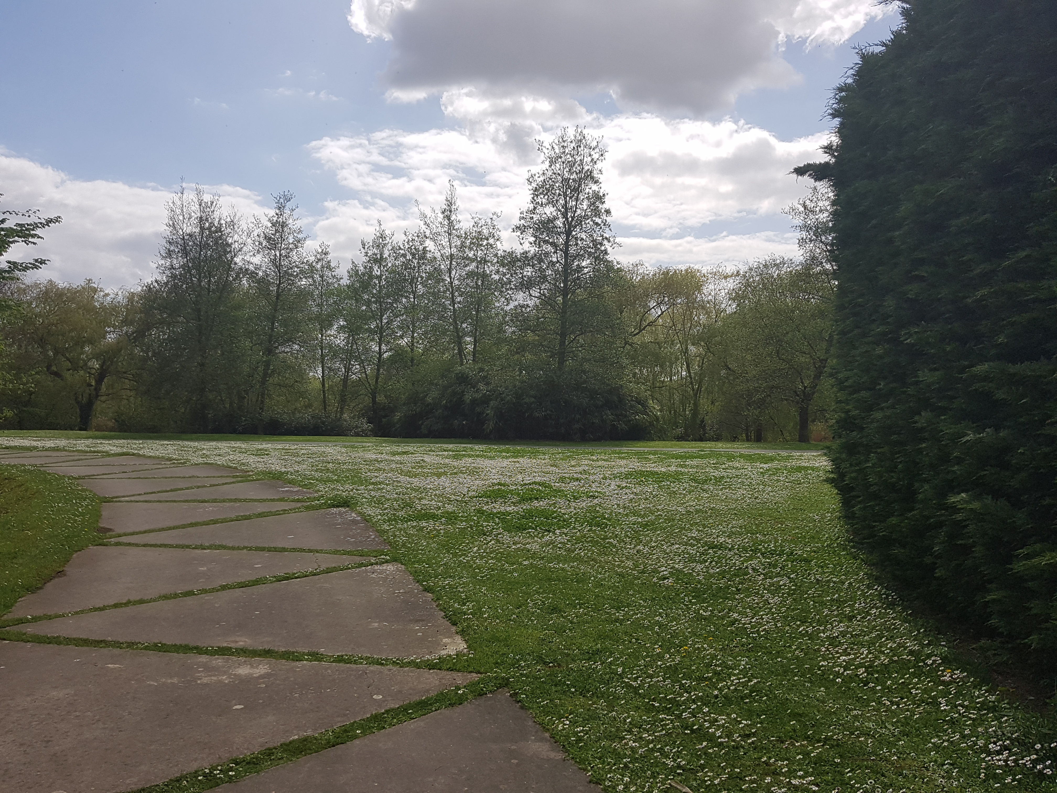 Photo n° 14 de l'avis de Mériame. fait le 16/04/2018 à 15:22