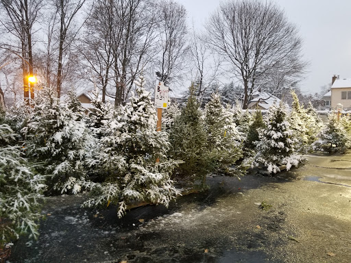 Garden Center «Dees Nursery & Florist», reviews and photos, 69 Atlantic Ave, Oceanside, NY 11572, USA