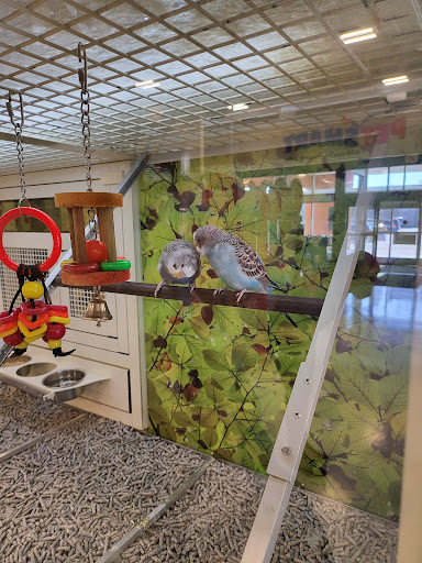 Pet Supply Store «PetSmart», reviews and photos, 8215 Laguna Blvd, Elk Grove, CA 95758, USA