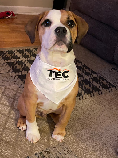 Roofing Contractor «The Exterior Company», reviews and photos