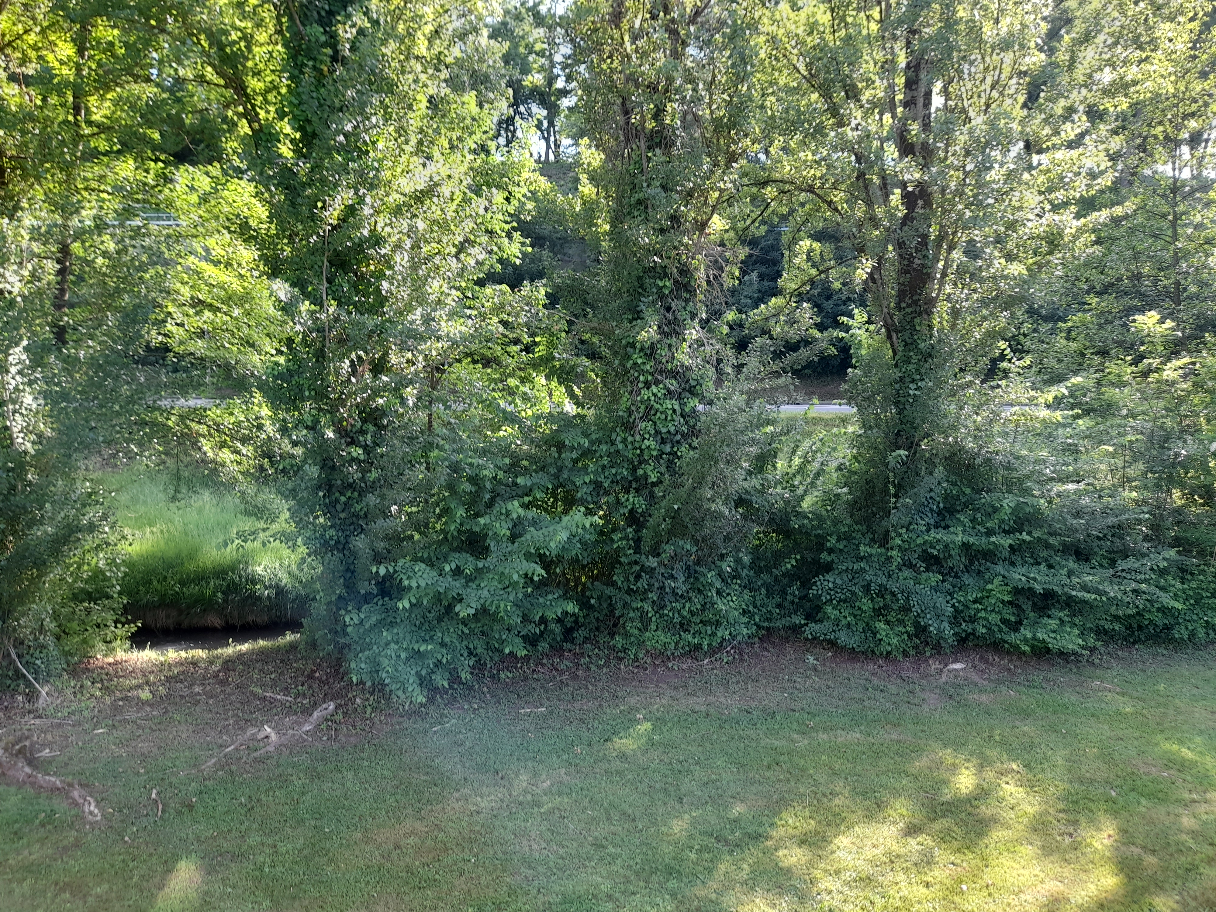 Photo n° 7 de l'avis de Sylwester.o fait le 16/05/2022 à 17:48