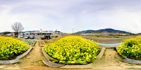 レストラン まほろば（道の駅 紀の川万葉の里）