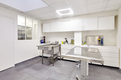 Clinique Vétérinaire SpéNAC à Paris