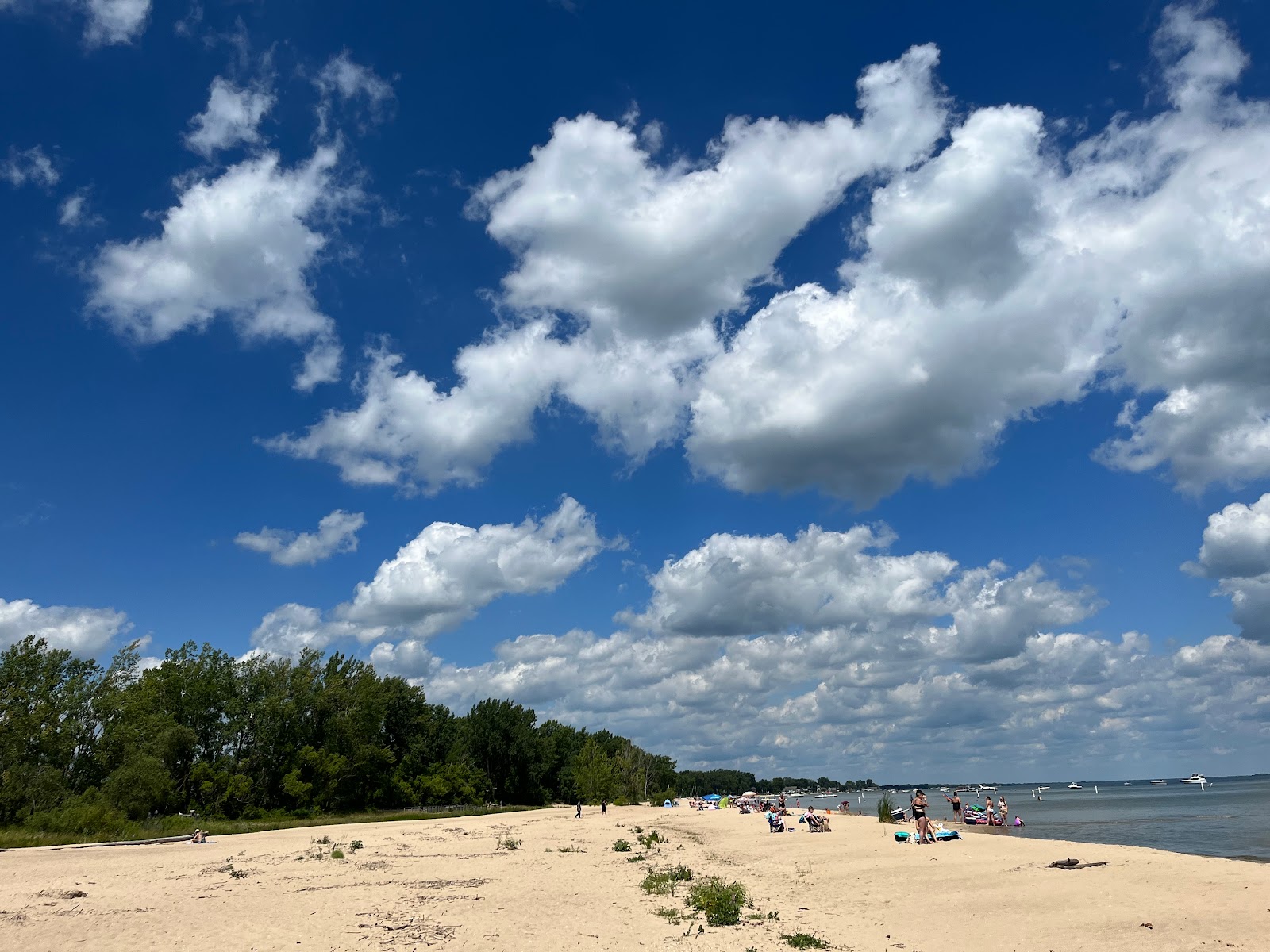 Photo of Bay City State Park Beach with very clean level of cleanliness