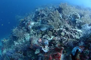 Talima Marine Sanctuary image