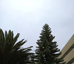 Universidad Autónoma Metropolitana Xochimilco Campus photo