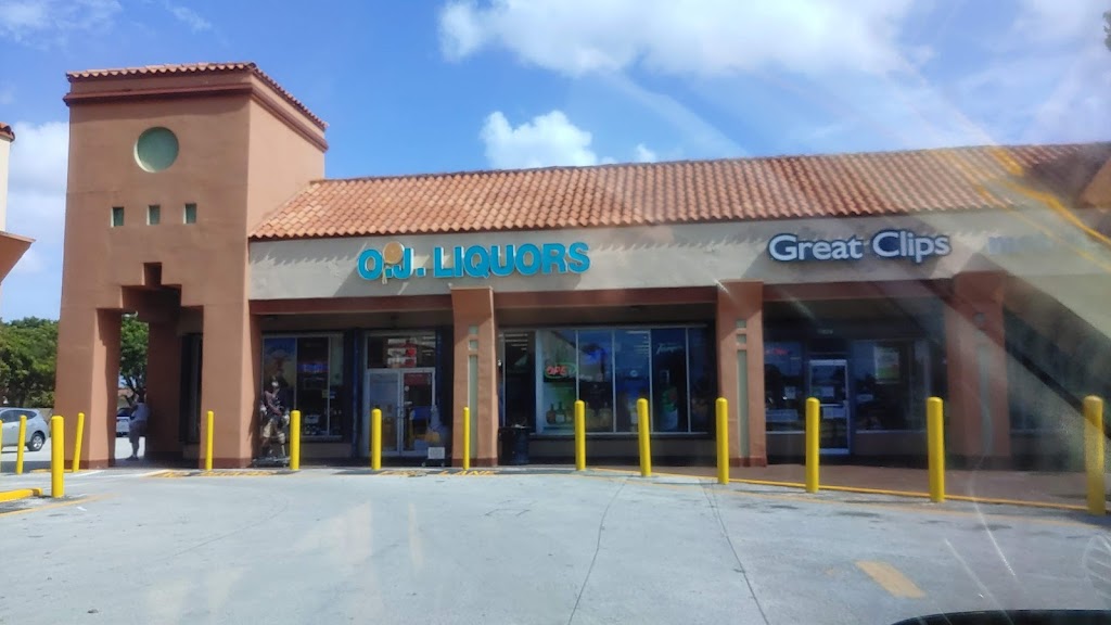 Domino's Pizza 33165