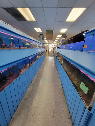 Pet Store «Fontana Tropical Fish & Pets», reviews and photos, 9830 Sierra Ave, Fontana, CA 92335, USA