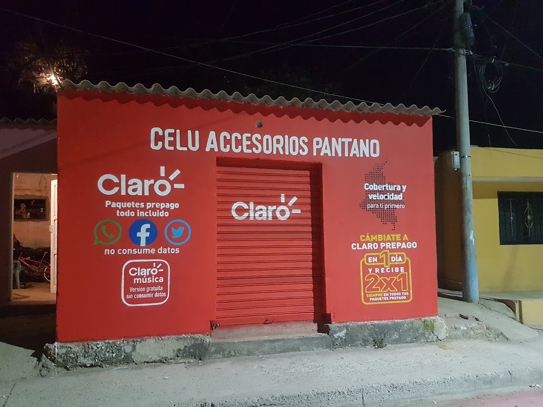 Celuaccesorios pantano