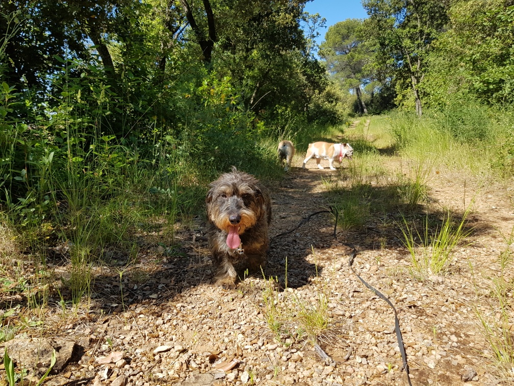 Photo n° 1 de l'avis de Estelle.k fait le 10/06/2019 à 07:44