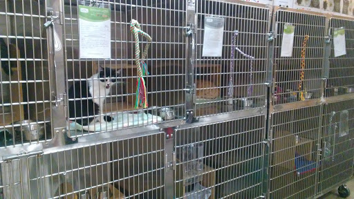 Pet Supply Store «PetSmart», reviews and photos, 1760 Apple Glen Blvd, Fort Wayne, IN 46804, USA