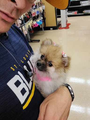 Pet Supply Store «Petco Animal Supplies», reviews and photos, 7907 State Highway N, Dardenne Prairie, MO 63368, USA