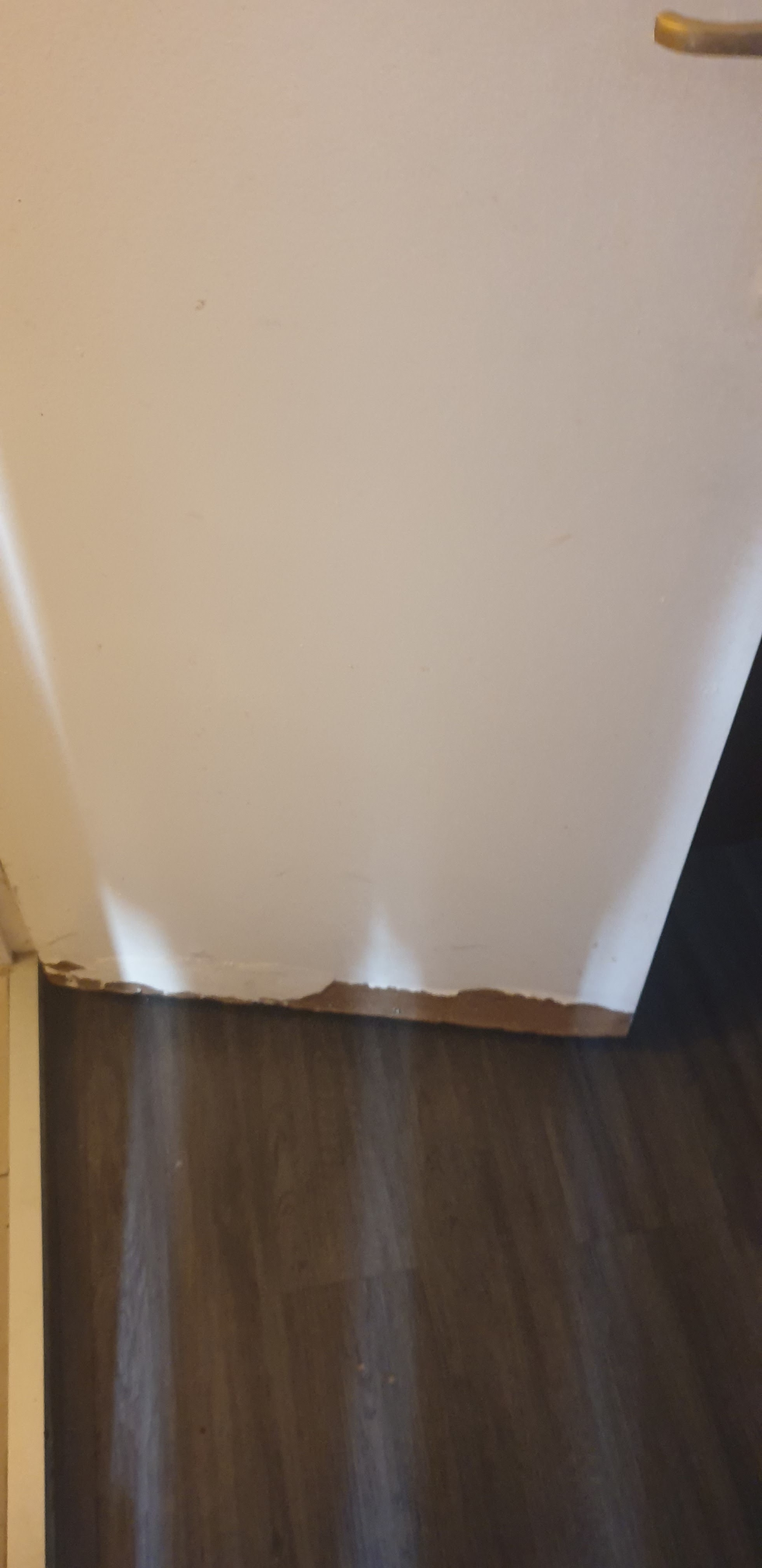 Photo n° 1 de l'avis de Damien.e fait le 25/07/2019 à 17:39