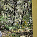 Photo n°26 de l'avis de barbara.a fait le 11/06/2022 à 16:59 sur le  Riva Degli Etruschi à San Vincenzo