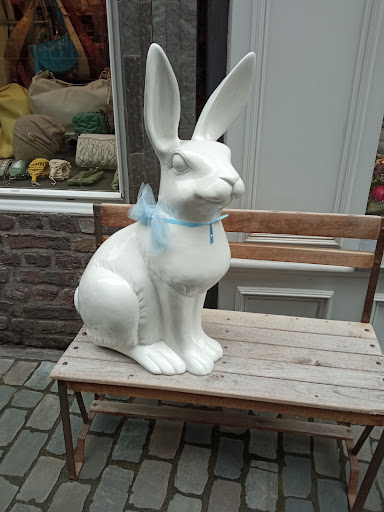 Kleintierpraxis Dr.med.vet. Patricia Scholl unter Eschweiler, 