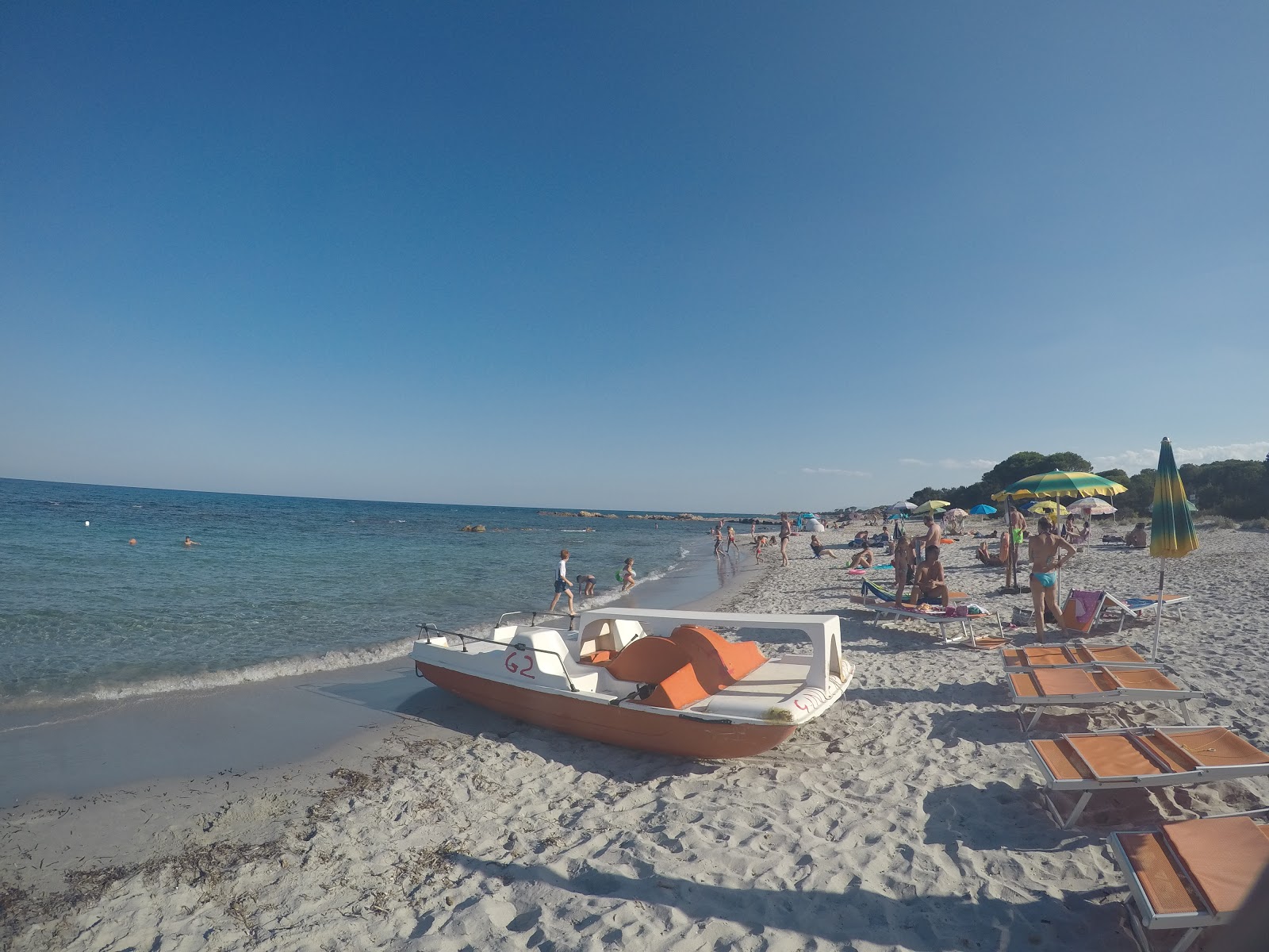 Sa Curcurica Plajı'in fotoğrafı plaj tatil beldesi alanı