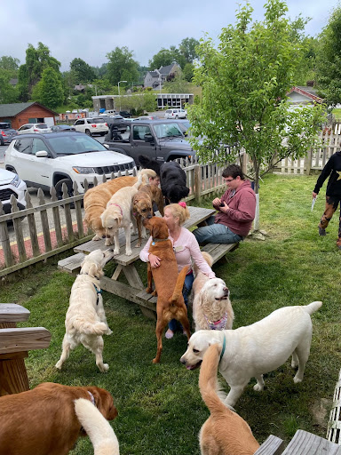 Pet Supply Store «My Best Friend’s Barkery», reviews and photos, 176 Shawneehaw Ave S, Banner Elk, NC 28604, USA