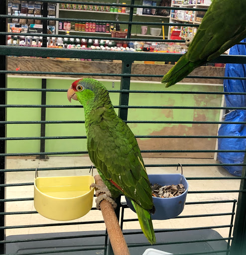 Pet Supply Store «Super Pet Store», reviews and photos, 5220 S Pulaski Rd, Chicago, IL 60632, USA